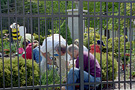 Join Hands Day 2006