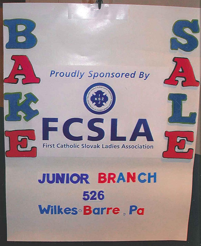 FCSLA Matching Funds Program