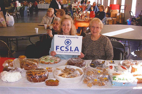 FCSLA Matching Funds Program