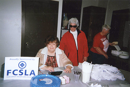 FCSLA Matching Funds Program
