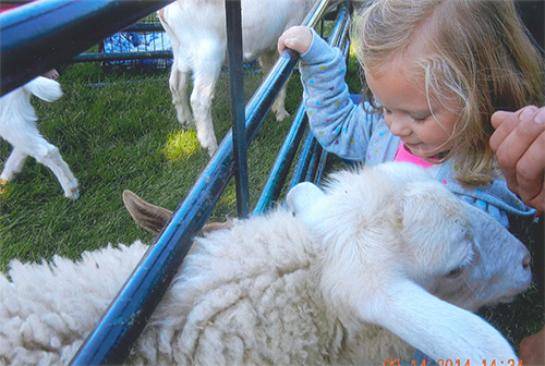 FCSLA Matching Funds Program