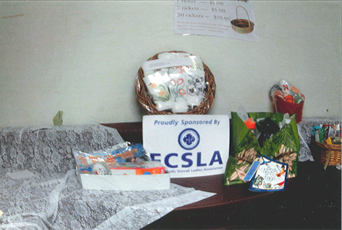 FCSLA Matching Funds Program