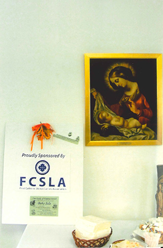 FCSLA Matching Funds