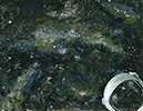 Art Contest Winners