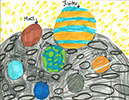 Art Contest Winners