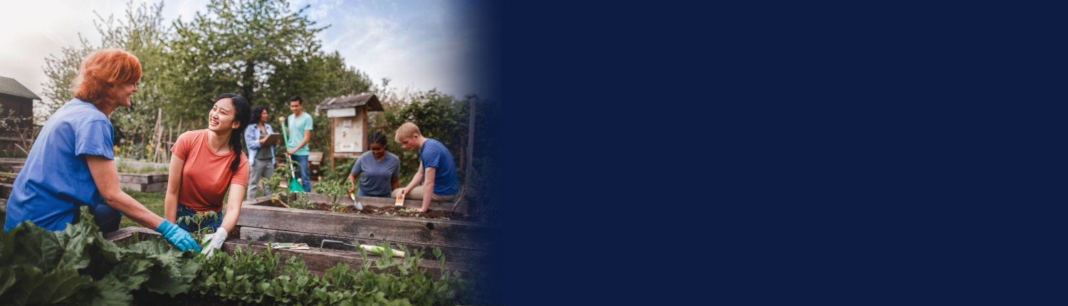 web banners slide show (5)